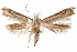  ( - CCDB-31104-G12)  @11 [ ] CreativeCommons - Attribution (2018) CBG Photography Group Centre for Biodiversity Genomics