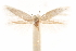  ( - CCDB-31442-B03)  @11 [ ] CreativeCommons - Attribution (2018) CBG Photography Group Centre for Biodiversity Genomics