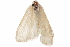  (Rupela albina - CCDB-31442-H10)  @11 [ ] CreativeCommons - Attribution (2018) CBG Photography Group Centre for Biodiversity Genomics
