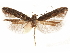  ( - CCDB-31542-A12)  @11 [ ] CreativeCommons - Attribution (2018) CBG Photography Group Centre for Biodiversity Genomics