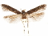  ( - CCDB-31542-B01)  @11 [ ] CreativeCommons - Attribution (2018) CBG Photography Group Centre for Biodiversity Genomics