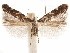  ( - CCDB-31542-C05)  @11 [ ] CreativeCommons - Attribution (2018) CBG Photography Group Centre for Biodiversity Genomics
