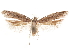  ( - CCDB-31542-C09)  @11 [ ] CreativeCommons - Attribution (2018) CBG Photography Group Centre for Biodiversity Genomics