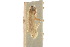  (Antaeotricha haesitans - CCDB-30454-A11)  @11 [ ] CreativeCommons - Attribution (2018) CBG Photography Group Centre for Biodiversity Genomics
