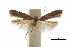  ( - CCDB-30454-E04)  @11 [ ] CreativeCommons - Attribution (2018) CBG Photography Group Centre for Biodiversity Genomics
