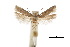  ( - CCDB-30454-E05)  @11 [ ] CreativeCommons - Attribution (2018) CBG Photography Group Centre for Biodiversity Genomics