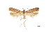  ( - CCDB-30454-E08)  @11 [ ] CreativeCommons - Attribution (2018) CBG Photography Group Centre for Biodiversity Genomics