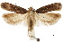  ( - CCDB-30454-E12)  @11 [ ] CreativeCommons - Attribution (2018) CBG Photography Group Centre for Biodiversity Genomics