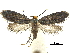  ( - CCDB-30455-A03)  @11 [ ] CreativeCommons - Attribution (2018) CBG Photography Group Centre for Biodiversity Genomics
