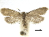  ( - CCDB-30455-C02)  @11 [ ] CreativeCommons - Attribution (2018) CBG Photography Group Centre for Biodiversity Genomics