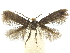  ( - CCDB-30455-C10)  @11 [ ] CreativeCommons - Attribution (2018) CBG Photography Group Centre for Biodiversity Genomics