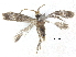  ( - CCDB-30455-E02)  @11 [ ] CreativeCommons - Attribution (2018) CBG Photography Group Centre for Biodiversity Genomics