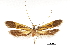  ( - CCDB-30456-B02)  @11 [ ] CreativeCommons - Attribution (2018) CBG Photography Group Centre for Biodiversity Genomics