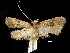  ( - CCDB-30456-C02)  @11 [ ] CreativeCommons - Attribution (2018) CBG Photography Group Centre for Biodiversity Genomics