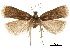  ( - CCDB-30456-C05)  @11 [ ] CreativeCommons - Attribution (2018) CBG Photography Group Centre for Biodiversity Genomics