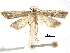  ( - CCDB-30456-D07)  @11 [ ] CreativeCommons - Attribution (2018) CBG Photography Group Centre for Biodiversity Genomics