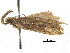  ( - CCDB-30456-E09)  @11 [ ] CreativeCommons - Attribution (2018) CBG Photography Group Centre for Biodiversity Genomics