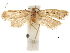  ( - CCDB-30456-E10)  @11 [ ] CreativeCommons - Attribution (2018) CBG Photography Group Centre for Biodiversity Genomics