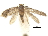  ( - CCDB-30456-G05)  @11 [ ] CreativeCommons - Attribution (2018) CBG Photography Group Centre for Biodiversity Genomics
