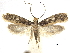  ( - CCDB-30456-G08)  @11 [ ] CreativeCommons - Attribution (2018) CBG Photography Group Centre for Biodiversity Genomics