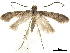  ( - CCDB-30456-G09)  @13 [ ] CreativeCommons - Attribution (2018) CBG Photography Group Centre for Biodiversity Genomics