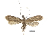  ( - CCDB-30456-G11)  @11 [ ] CreativeCommons - Attribution (2018) CBG Photography Group Centre for Biodiversity Genomics