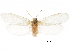  ( - CCDB-30456-H08)  @11 [ ] CreativeCommons - Attribution (2018) CBG Photography Group Centre for Biodiversity Genomics