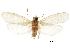  ( - CCDB-30456-H09)  @11 [ ] CreativeCommons - Attribution (2018) CBG Photography Group Centre for Biodiversity Genomics