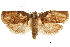  ( - CCDB-30457-C02)  @11 [ ] CreativeCommons - Attribution (2019) CBG Photography Group Centre for Biodiversity Genomics