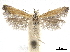  ( - CCDB-30457-G05)  @11 [ ] CreativeCommons - Attribution (2019) CBG Photography Group Centre for Biodiversity Genomics