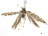  ( - CCDB-30457-H01)  @11 [ ] CreativeCommons - Attribution (2019) CBG Photography Group Centre for Biodiversity Genomics