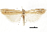  ( - CCDB-30819-B02)  @11 [ ] CreativeCommons - Attribution (2018) CBG Photography Group Centre for Biodiversity Genomics