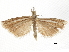  ( - CCDB-30819-B04)  @11 [ ] CreativeCommons - Attribution (2018) CBG Photography Group Centre for Biodiversity Genomics