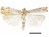  ( - CCDB-30819-B07)  @11 [ ] CreativeCommons - Attribution (2018) CBG Photography Group Centre for Biodiversity Genomics