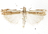  ( - CCDB-30819-B08)  @11 [ ] CreativeCommons - Attribution (2018) CBG Photography Group Centre for Biodiversity Genomics