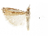  ( - CCDB-30819-B09)  @11 [ ] CreativeCommons - Attribution (2018) CBG Photography Group Centre for Biodiversity Genomics