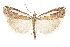  ( - CCDB-30819-C12)  @15 [ ] CreativeCommons - Attribution (2018) CBG Photography Group Centre for Biodiversity Genomics