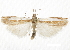  ( - CCDB-30819-D01)  @11 [ ] CreativeCommons - Attribution (2018) CBG Photography Group Centre for Biodiversity Genomics