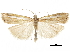  ( - CCDB-30819-D03)  @11 [ ] CreativeCommons - Attribution (2018) CBG Photography Group Centre for Biodiversity Genomics