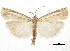  ( - CCDB-30819-D04)  @11 [ ] CreativeCommons - Attribution (2018) CBG Photography Group Centre for Biodiversity Genomics