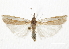  ( - CCDB-30819-D05)  @13 [ ] CreativeCommons - Attribution (2018) CBG Photography Group Centre for Biodiversity Genomics