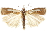  ( - CCDB-30819-E04)  @11 [ ] CreativeCommons - Attribution (2018) CBG Photography Group Centre for Biodiversity Genomics