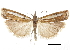  ( - CCDB-30819-E05)  @11 [ ] CreativeCommons - Attribution (2018) CBG Photography Group Centre for Biodiversity Genomics