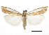  ( - CCDB-30819-E10)  @11 [ ] CreativeCommons - Attribution (2018) CBG Photography Group Centre for Biodiversity Genomics