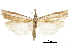  ( - CCDB-30819-E12)  @11 [ ] CreativeCommons - Attribution (2018) CBG Photography Group Centre for Biodiversity Genomics