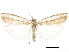  ( - CCDB-30819-F02)  @11 [ ] CreativeCommons - Attribution (2018) CBG Photography Group Centre for Biodiversity Genomics