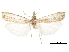  ( - CCDB-30819-F05)  @11 [ ] CreativeCommons - Attribution (2018) CBG Photography Group Centre for Biodiversity Genomics