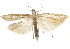  ( - CCDB-30819-F10)  @14 [ ] CreativeCommons - Attribution (2018) CBG Photography Group Centre for Biodiversity Genomics