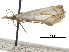 ( - CCDB-30819-G09)  @11 [ ] CreativeCommons - Attribution (2018) CBG Photography Group Centre for Biodiversity Genomics