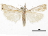  ( - CCDB-30819-G10)  @11 [ ] CreativeCommons - Attribution (2018) CBG Photography Group Centre for Biodiversity Genomics
